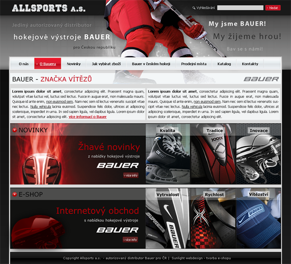 E-shop, tvorba e-shopu: allsports.cz