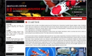 E-shop, tvorba e-shopu: nishikigoi.cz