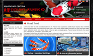 E-shop, tvorba e-shopu: nishikigoi.cz