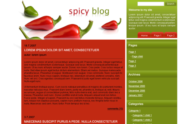 Webdesign: sablona-blogu