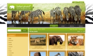 Webdesign: sablona-safari