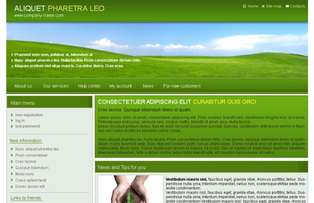 Webdesign: firemni-sablona-2