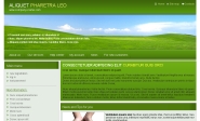 Webdesign: firemni-sablona-2