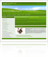 Green company template